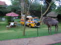 Wildebeest Eco Camp, Karen