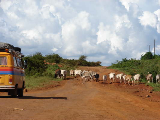 Trans East African Highway
