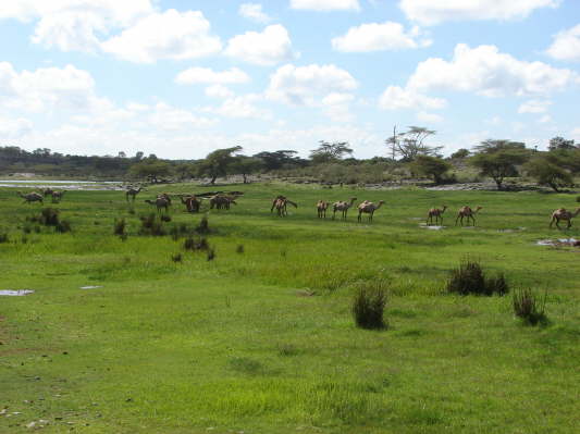 Maralal, Kenya
