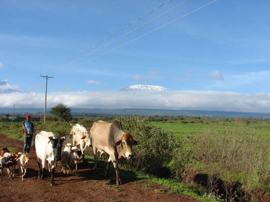 Oloitokitok, Kenya