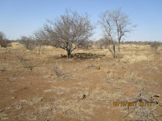 Kruger NP