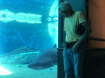 Durban Aquarium