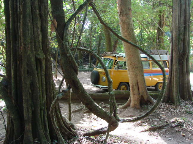 Ndzou Camp: im Bergwald ist es schwierig, ein waagerechtes Pltzchen zu finden.