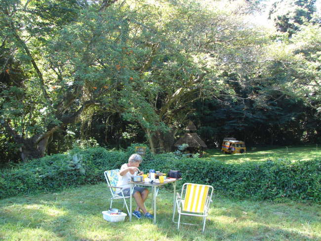 Chelinda Forest: Frhstck im sdlichsten Urwald der Erde.