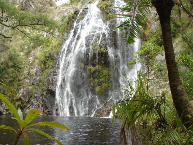 Tessas Pool, Chimanimani: ein Badepool im Urwald.