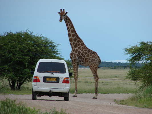 Etosha-Nationalpark