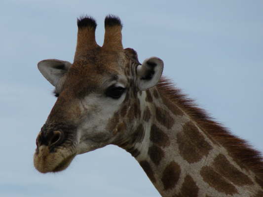 Etosha-Nationalpark