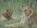 Etosha-Nationalpark