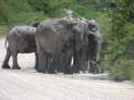 Etosha-Nationalpark