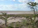 Etosha-Nationalpark