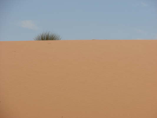 Kgalagadi Nationalpark