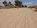 Kgalagadi Nationalpark