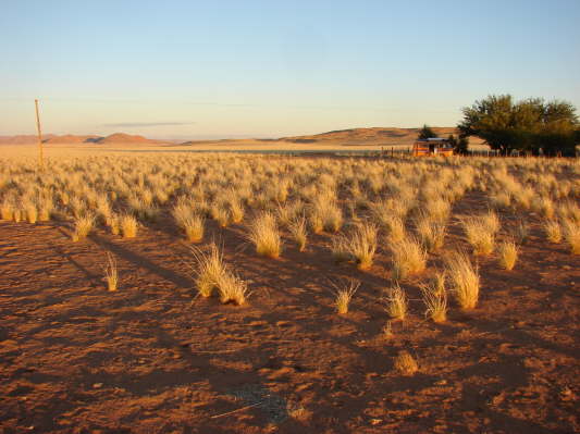 Farm Gunsbewys