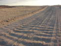 Namib-Naukluft-Nationalpark