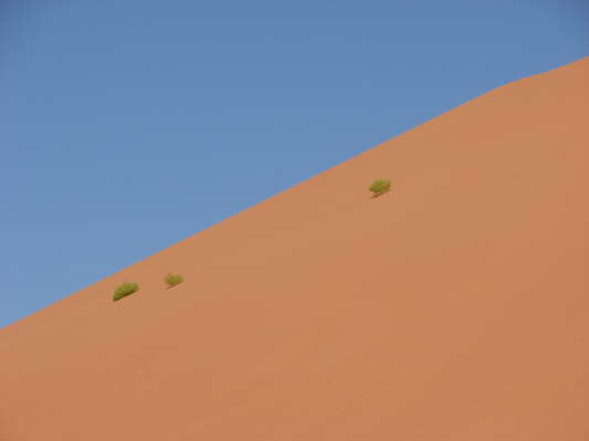 Sossusvlei