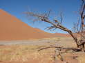 Sossusvlei