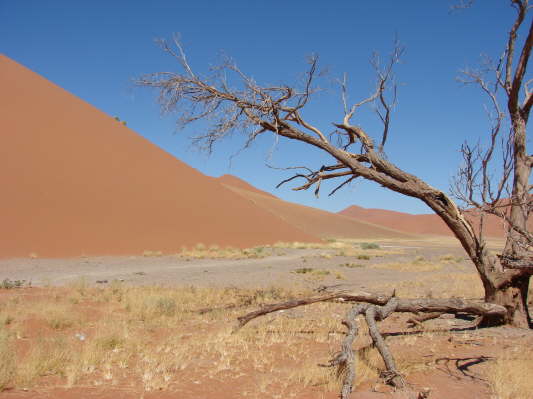 Sossusvlei