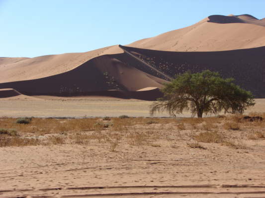 Sossusvlei