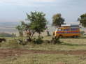 Massai Mara Viewpoint