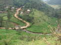 am Bwindi Nationalpark