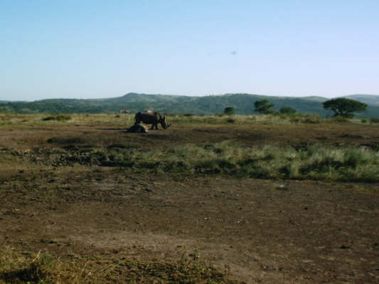 Hluhluwe-Umfolozi-Nationalpark