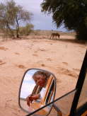 Kgalagadi-Nationalpark