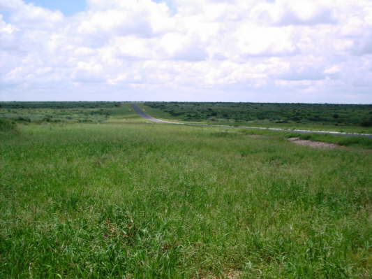 Trans-Kalahari-Highway