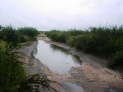 Central Kalahari Gamereserve