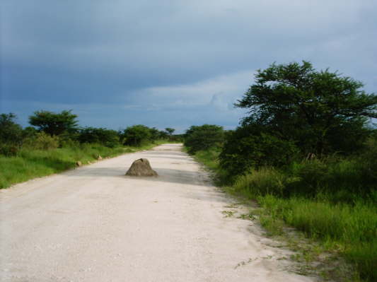 Etosha Nationalpark