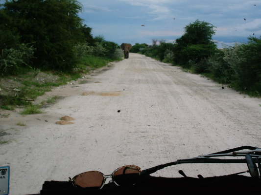 Etosha Nationalpark