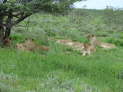 db_25-089-