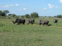 db_25-164-