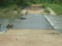 Kafue Nationalpark